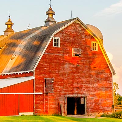 Farming Supplies