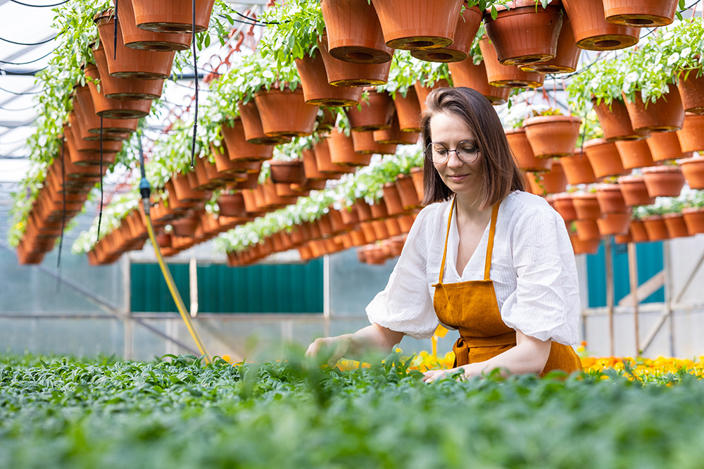 Jobs in Hardwick, MA