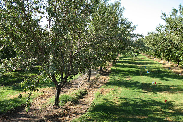 Farming Supplies